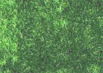 Manto erboso verde scuro - 24x15cm