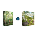The Forest Shuffle + espansione Woodland Edge in italiano
