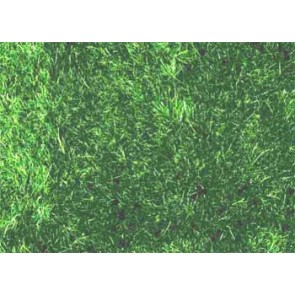 Manto erboso verde scuro - 24x15cm